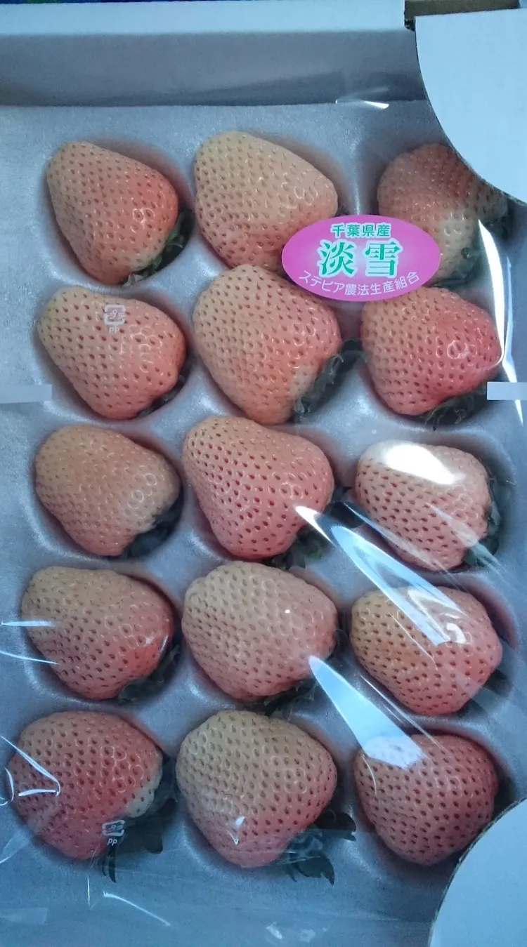 其他網友貼出淡雪草莓照。翻攝自路上觀察學院