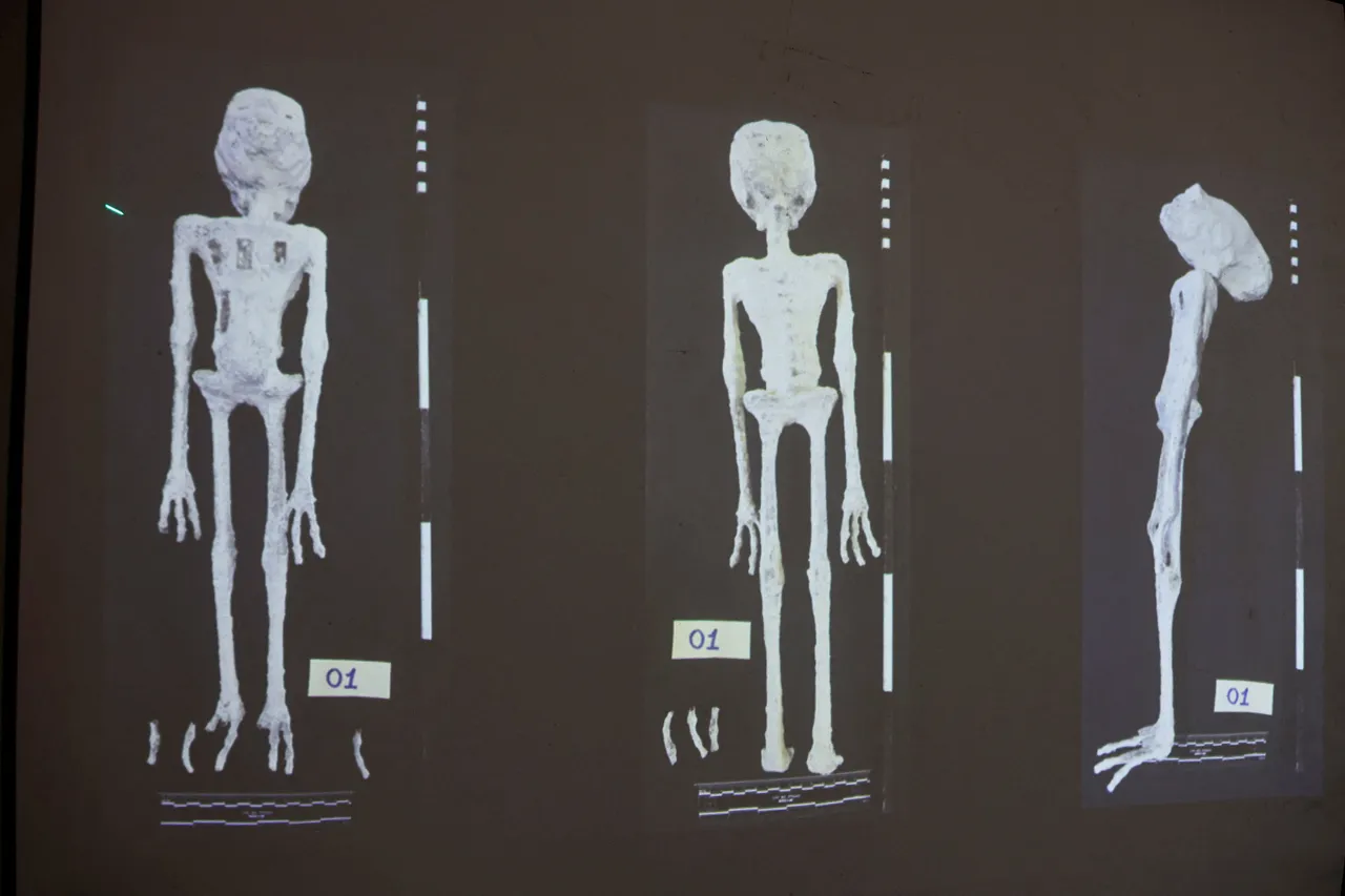 經過檢驗後,秘魯當局證實,這2具「外星人屍體」是由「地球」的動物骨頭,以及蘊含現代科技的「有機塑膠」所組成。路透社