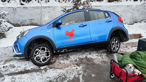 劉樂妍遭遇「我這輩子最嚴重的車禍」　愛車底盤全毀幾報廢