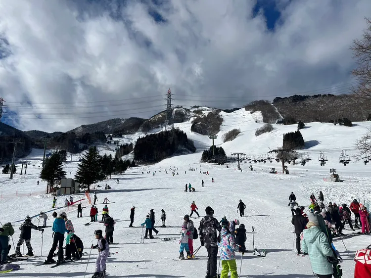 苗場滑雪場。Carry提供