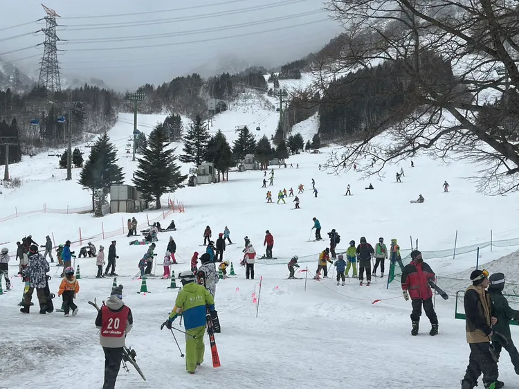 苗場滑雪場。Carry提供