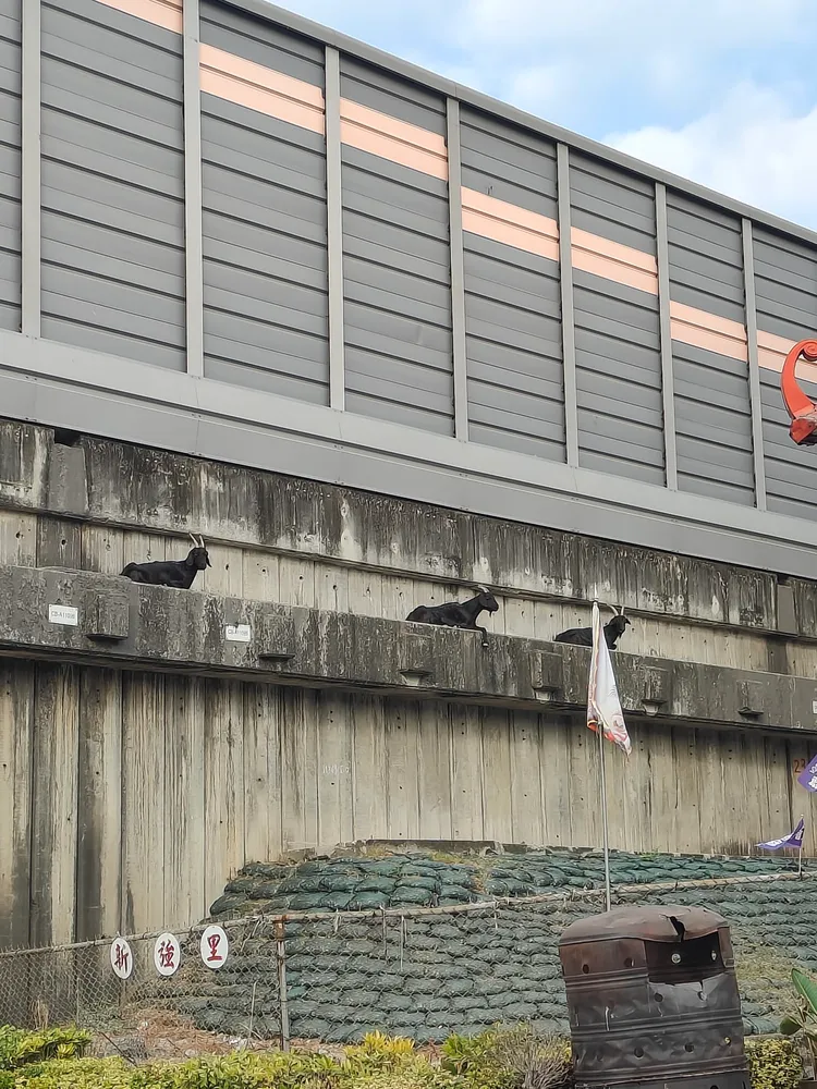 其他網友也貼出捕獲的照片。翻攝自路上觀察學院臉書