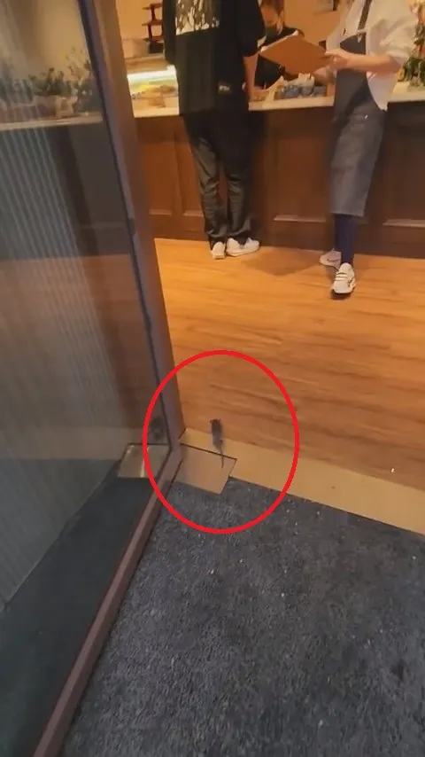 目擊者原本是在拍攝「超甲組海鮮丼飯」餐廳門口排隊狀況，沒想到剛好拍到老鼠溜進門畫面。翻攝自論壇PTT