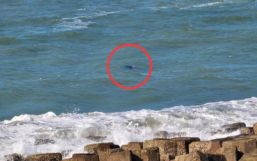 苗栗漁民乘膠筏出海捕魚 遲未返家!竟遭漁網卡住溺斃