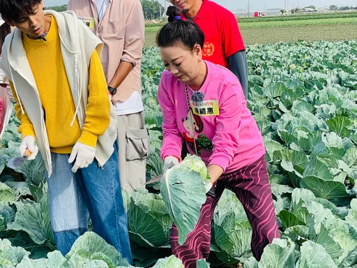 楊繡惠拚老命收割高麗菜 籃籃耍賴「聲名遠播」
