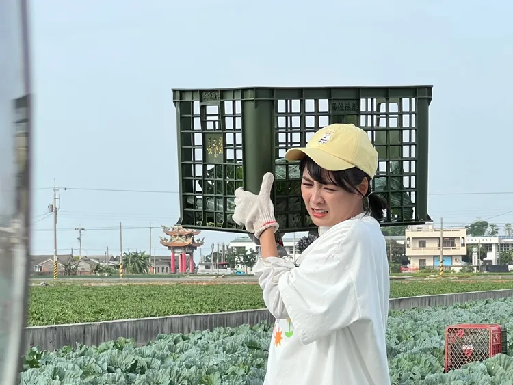 籃籃扛高麗菜，表情痛苦。民視提供