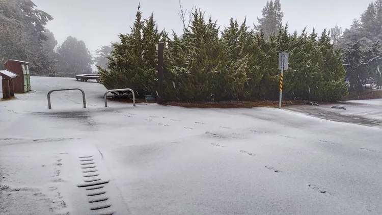 大雪山今現雪花紛飛、銀白世界美景。翻攝自「大雪山國家森林遊樂區」臉書粉專