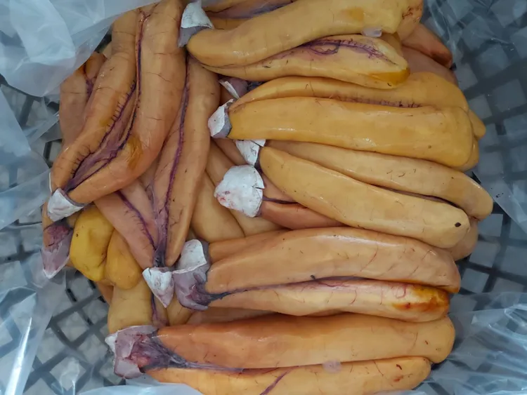 烏魚子給漁民帶來豐厚的年終獎金。市府提供