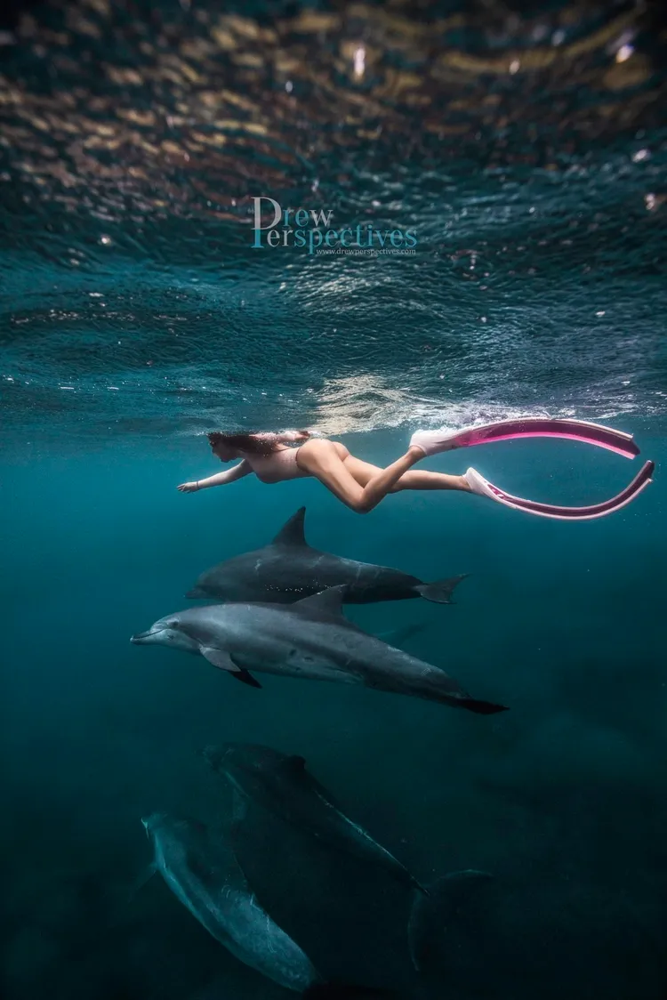 mydaily樂樂難忘水中和海豚共遊拍攝珍貴經驗。（17LIVE提供）