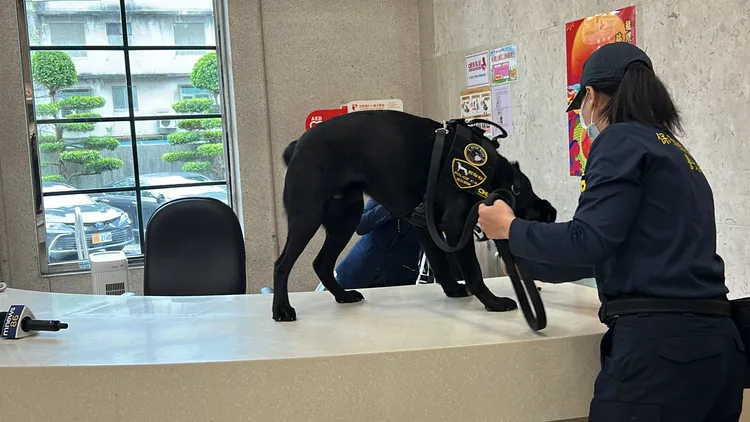 Wafer對電子產品有反應。翻攝畫面