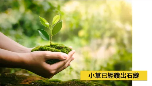 名嘴选前6大预测全中　下一步他预言「小草已钻出缝」