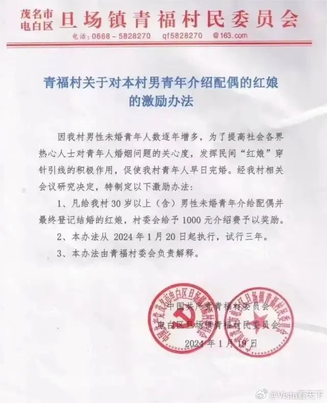 廣東茂名青福村。翻攝微博