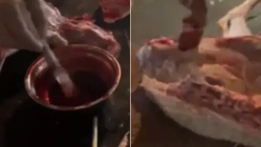 中國連新鮮羊肉都造假 民眾揭業者將冷凍肉抹血詐騙