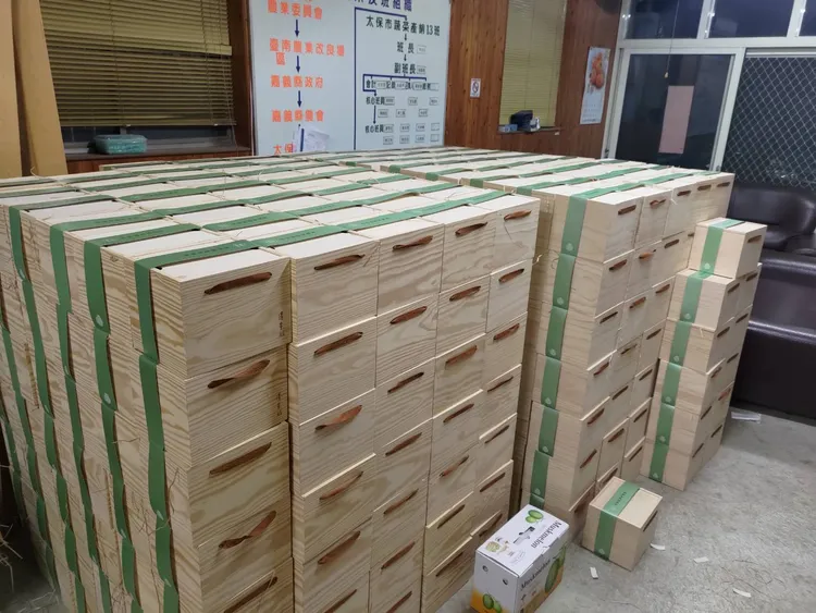 清景麟購置極光哈密瓜，該哈密瓜有瓜界愛馬仕美名。清景麟提供