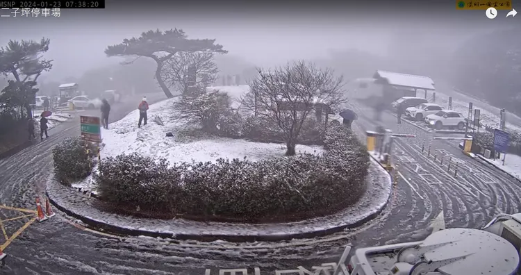 陽明山國家公園降雪情形，不少民眾一早就駕車上山追雪。翻攝自陽明山國家公園YT頻道