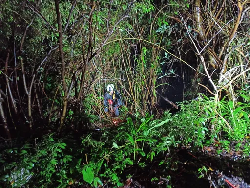 19歲男開車載2友上陽明山追雪 悲劇了!連人帶車滑落邊坡