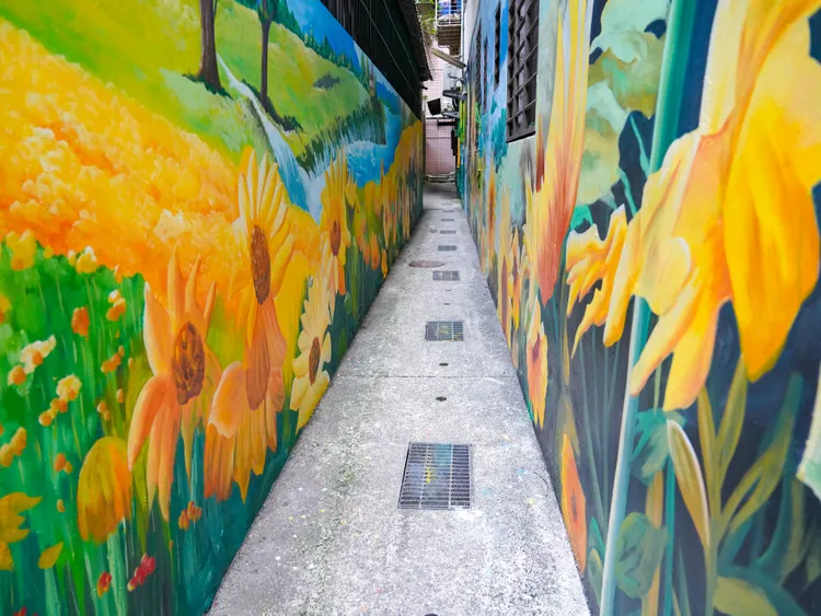 經過色彩妝點骯贓漆黑的後巷，讓你一轉身瞬間來到神秘的花徑。水里局提供
