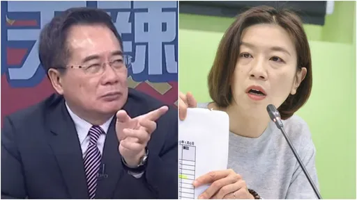 控林靜儀台大碩士論文涉抄襲 蔡正元轟:重複率27%