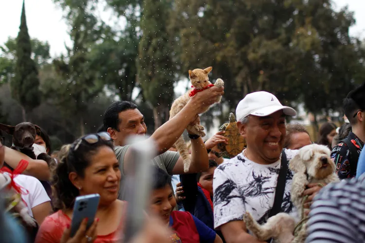 墨西哥寵物飼主17日「聖安東尼瞻禮日」帶著寵物上教堂，接受祝福。路透社