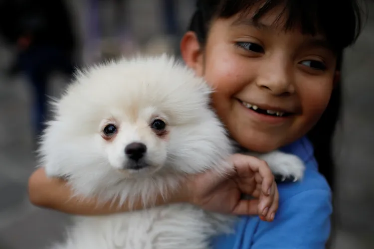 墨西哥寵物飼主17日「聖安東尼瞻禮日」帶著寵物上教堂，接受祝福。路透社
