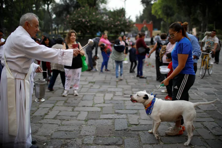 墨西哥寵物飼主17日「聖安東尼瞻禮日」帶著寵物上教堂，接受祝福。路透社