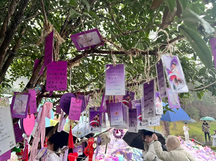 全球各地的粉絲，將對於李玟的思念及祝福卡掛在樹上。CoCo李玟歌迷會提供