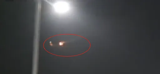 波音客機仁川機場降落遭鳥擊　引擎爆火花！乘客陷20分鐘恐懼