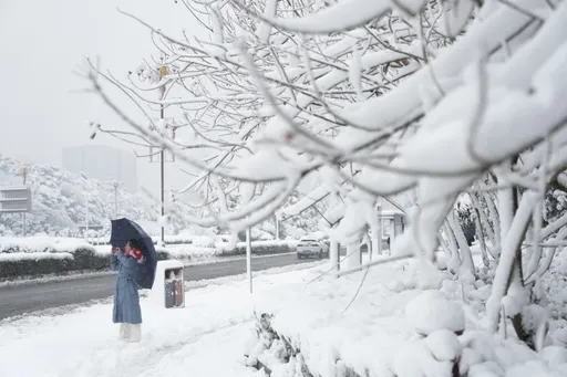 中國湖南全省性暴雪 萬人受災、傷農作物4800公頃