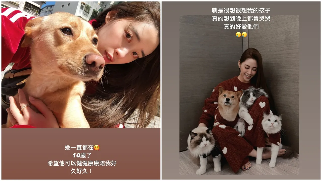 最讓她牽掛的就是毛小孩們,思念到晚上哭哭。翻攝自歐陽妮妮IG