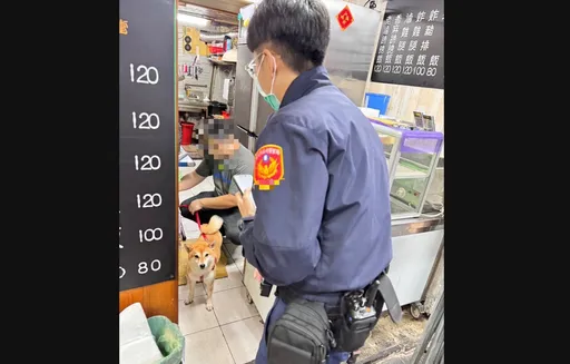 可愛柴犬「妹妹」走失 北市警速尋獲!正在便當店狂啃雞腿