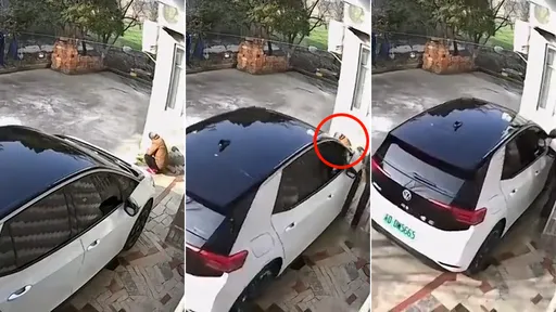 驚悚片｜女駕駛一起步就「撞死外婆」　買新車不熟悉變悲劇