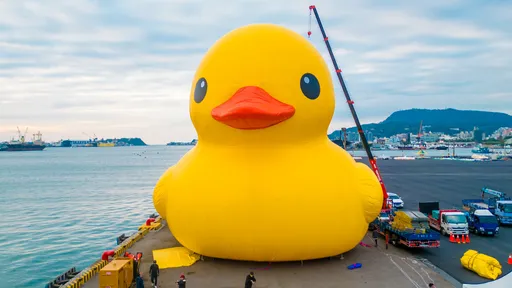 一次拍2隻黃色小鴨！賞鴨攻略曝光　「這一站」各角度全包了