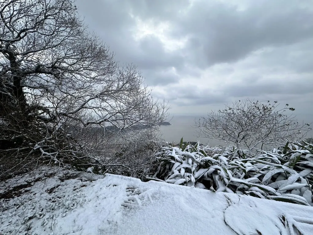 首页 / 生活 马祖北竿壁山积雪5公分 低温2机场取消首班机 2024/1/23 11:42(1/23 12:06 更新) 寒流发威,马祖北竿壁山22日深夜起罕见下雪,出现银白美景。北竿乡长吴金平表示,23日一早积雪达5公分。(吴金平提供)中央社