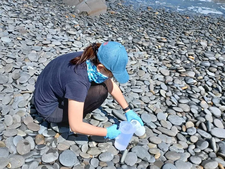 礫石生態系環境DNA海水樣本採集。國海院提供