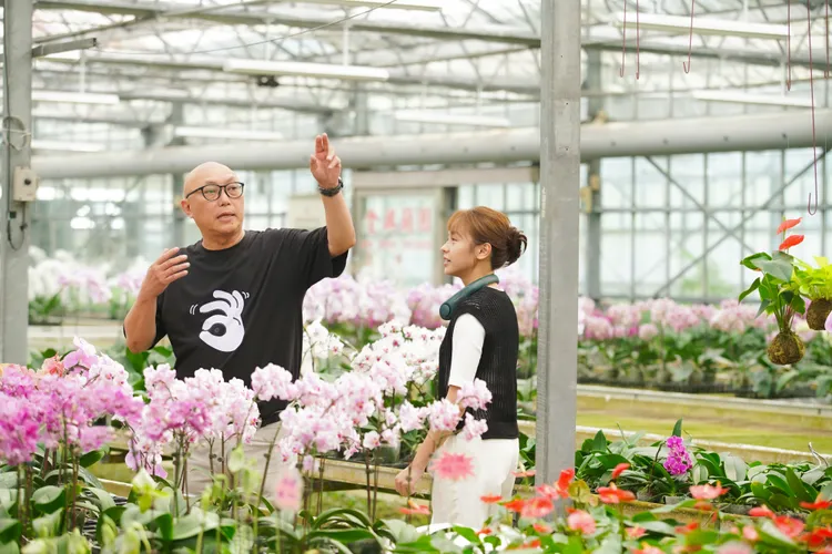 《我的婆婆2》改種蘭花，導演鄧安寧（左）和黃姵嘉。公視提供