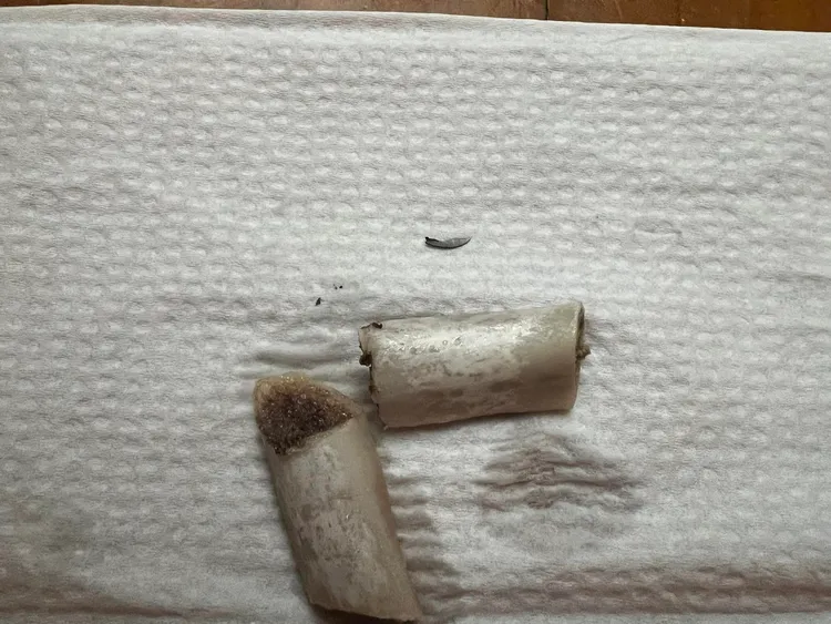 好市多豬肋排竟藏刀，害10歲童舌頭割傷。翻攝自「Costco好市多 商品經驗老實說」臉書