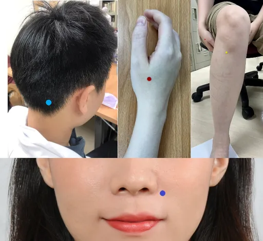 三臟失調易過敏!肺虛常感冒 腎虛手腳冰冷、耳鳴頭暈