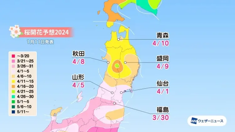 翻攝自《Sora News 24》