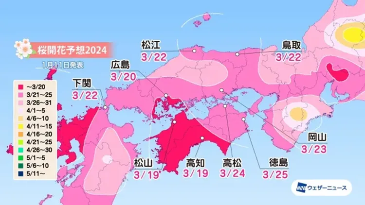 翻攝自《Sora News 24》