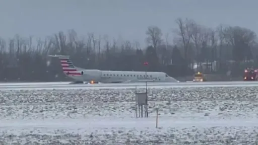 美國客機紐約大雪中降落　滑出跑道！機上載有53人