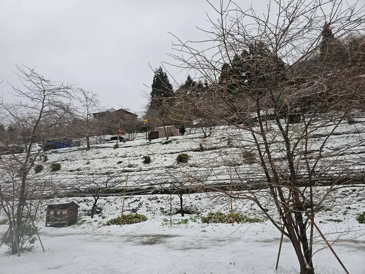 「拉拉山恩愛農場」提供