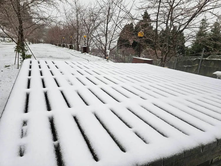 「拉拉山恩愛農場」提供