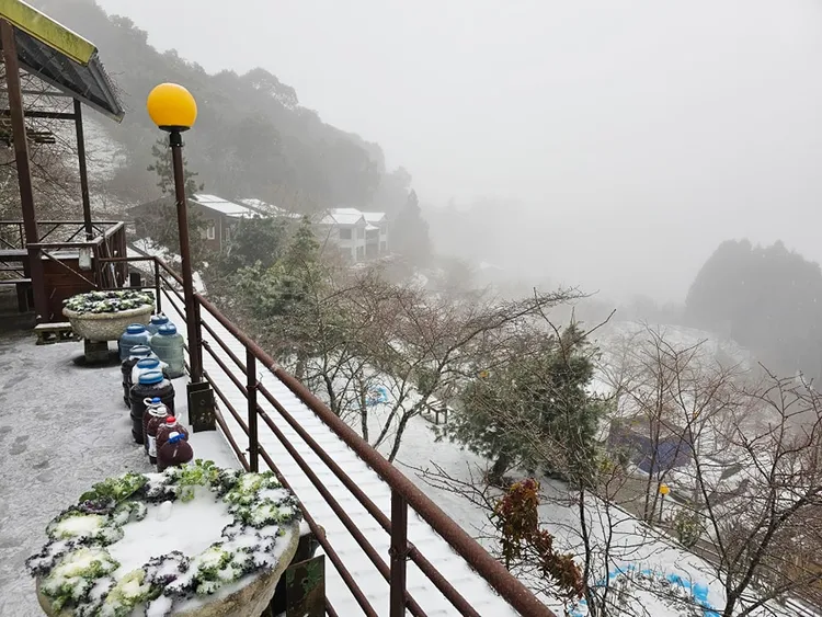 拉拉山恩愛農場飄雪成銀白世界。「拉拉山恩愛農場」提供