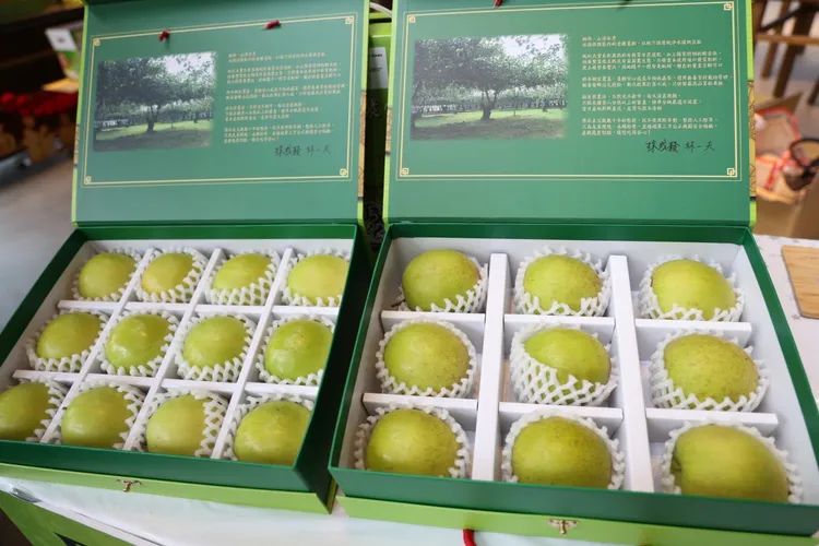 台南蜜棗上市了。市府提供