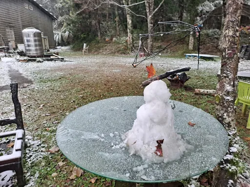 烏來下雪了!967高地成美白雪景 「嗨堆雪人」秘境曝光