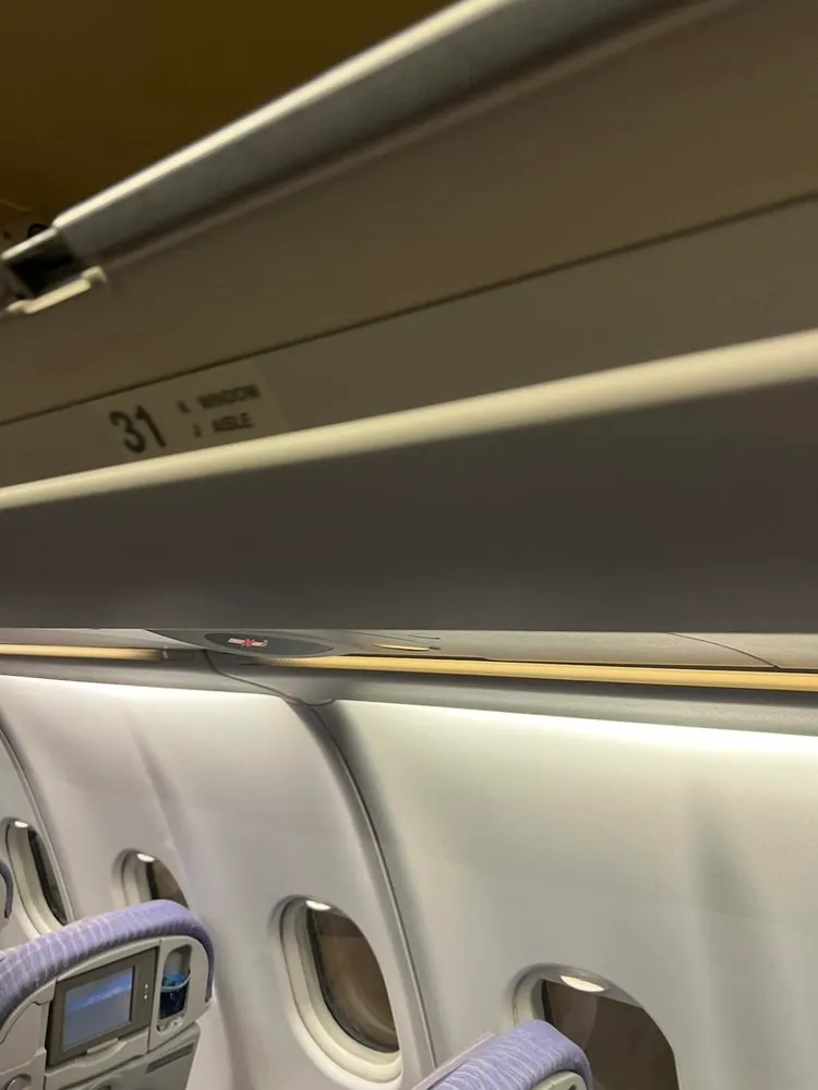 黃男PO出他在機上拍攝的照片。翻攝自黃男臉書