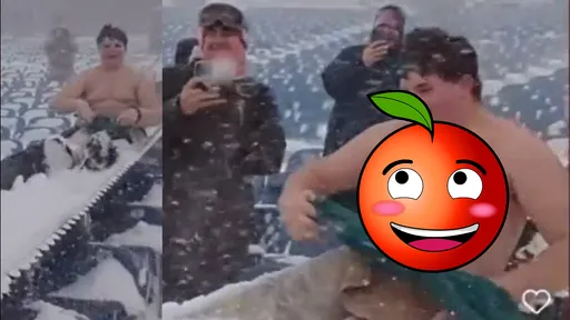 害羞片！半裸D cup狂粉獻身　人肉清除球場積雪