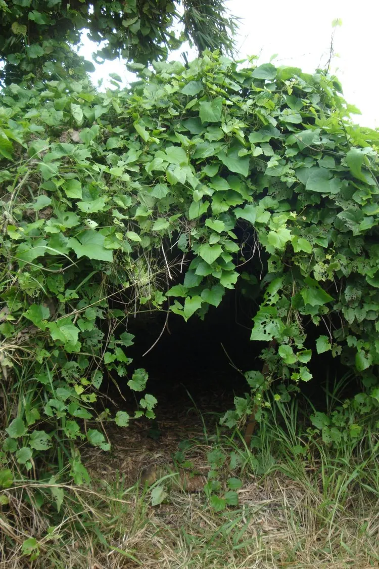 楊翠2012年曾拍下楊逵故居當時的情況。翻攝楊翠臉書