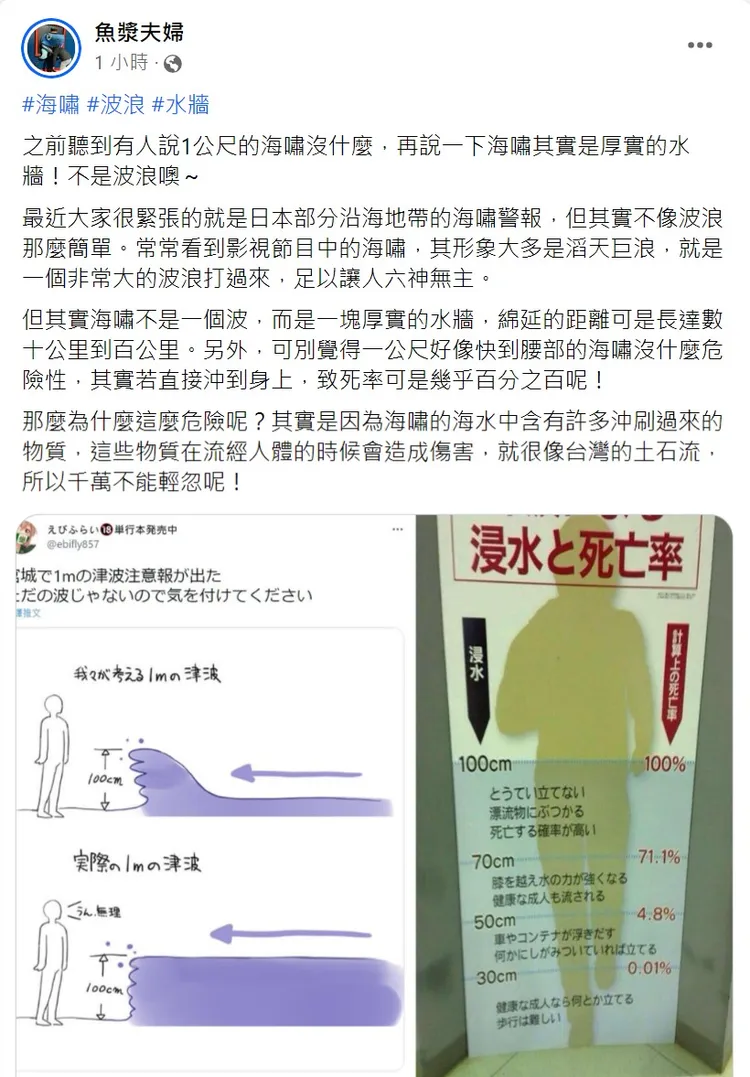 作家魚漿夫婦疾呼，不能小看海嘯，1公尺高致死率近乎100%。取自魚漿夫婦臉書