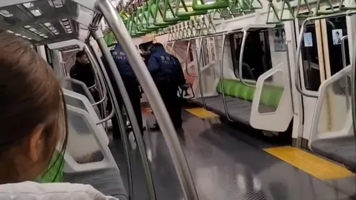 日本JR秋葉原「電車內隨機攻擊」　女子揮刀連傷4人